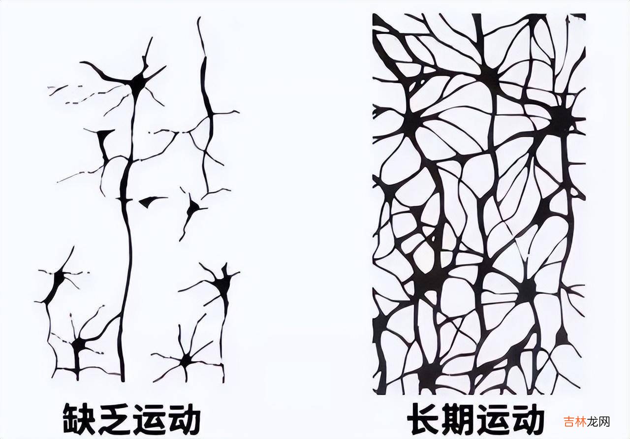 从小“动”起来的孩子,长大后更容易获得幸福