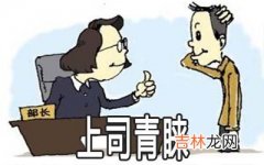 紫微斗数解析你会受哪种上司的青睐