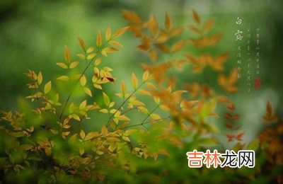 2020年白露节气前一天七月十九日可以求嗣吗？