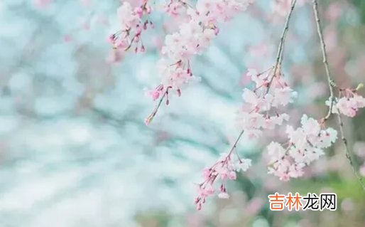 2020年7月6号五月十六出生的人性格命运解析，五行八字查询