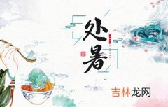 2020年处暑节气后一天七月初五日求嗣行吗？