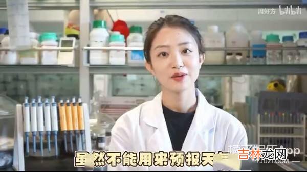 还记得美女学霸蔡茂吗？如今已经博士毕业了？