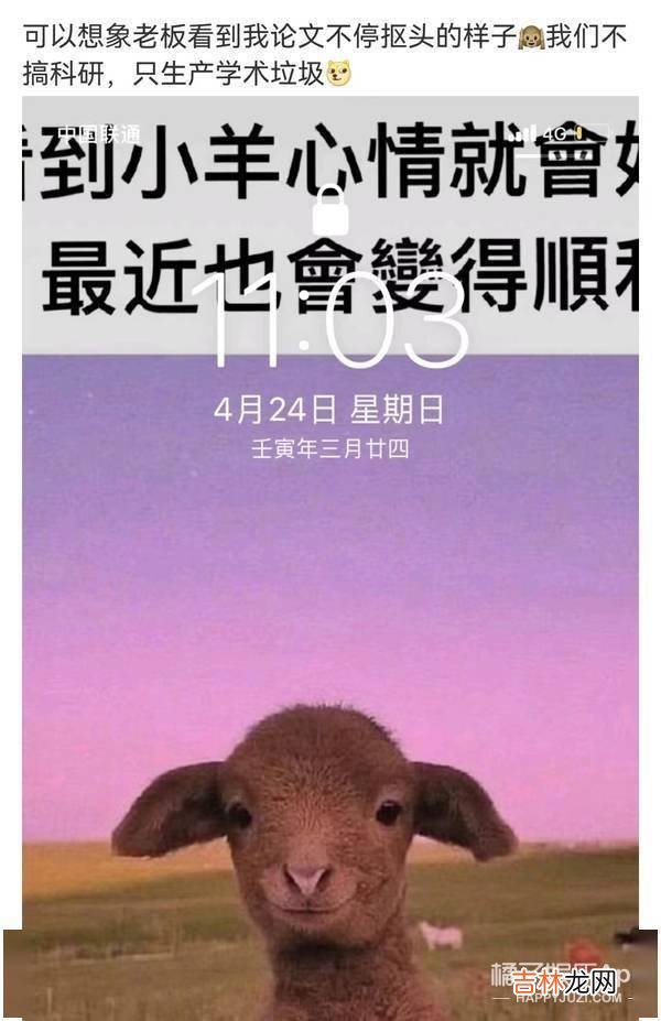 还记得美女学霸蔡茂吗？如今已经博士毕业了？