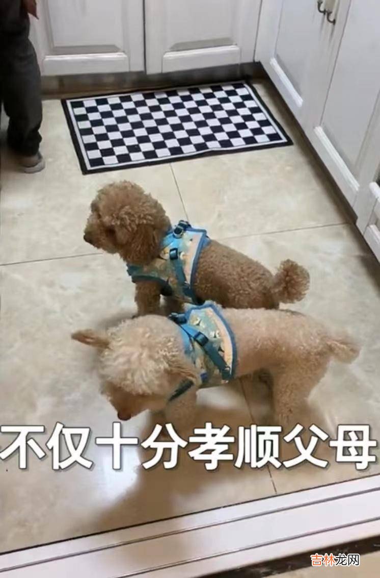 公婆从乡下来家里，夫妻主动把房间让给公婆住，推开门儿媳愣住了