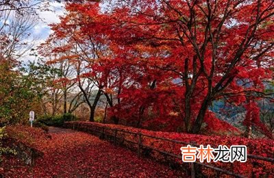农历七月出生的男人命运，农历七月出生什么性格？