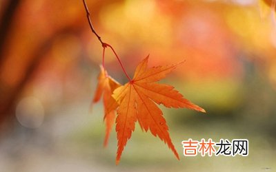 农历七月桃花命吗？2020农历七月生的人命运如何？