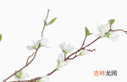 2020年7月24号六月初四出生的宝宝性格命运解析，五行八字查询