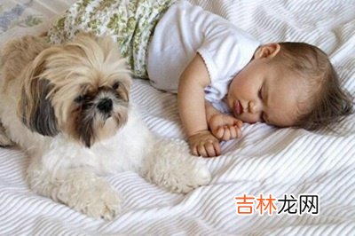 2020年农历八月初七日求嗣适合吗,什么时候生?