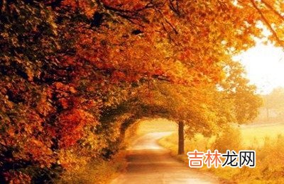 2020庚子鼠年农历八月哪天出生好？