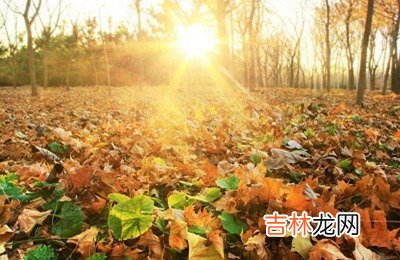 2020庚子鼠年农历八月哪天出生好？