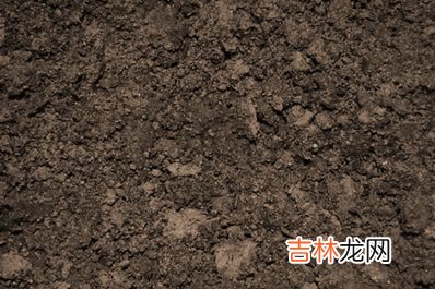 ,日干得地、得气、得势