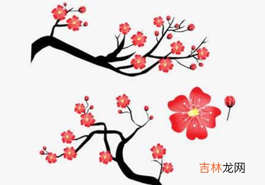 2020年8月18号六月二十九出生的孩子性格命运解析,五行八字查询