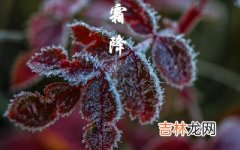 2020鼠年霜降节气前一天九月初六日求嗣适合吗？