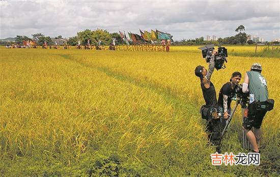 故园梦、侨乡情，原汁原味呈现