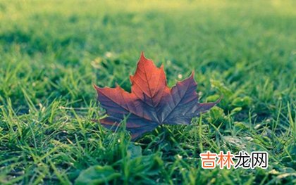 2020立秋怀孕好吗,2020年立秋怀孕预产期是什么时候？