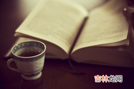 生活中总会有一个支点让我们依靠 人的一生，不需要寻觅追求的太多