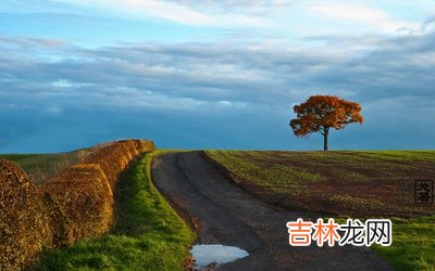 处暑介绍,属龙的人处暑节气出生命运是好是坏?