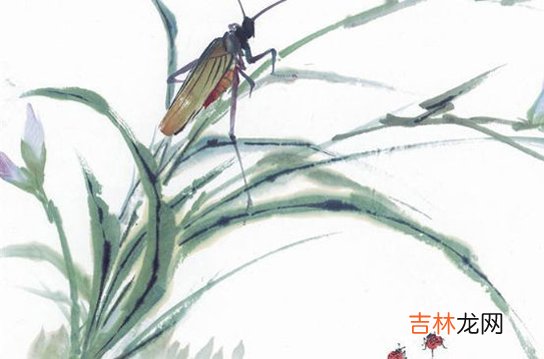 2020年9月25号八月初九出生的孩子生辰八字和性格命运解析