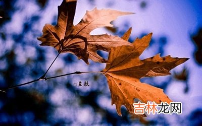 2020年立秋节气丑时出生宝宝喜用神是什么命如何?