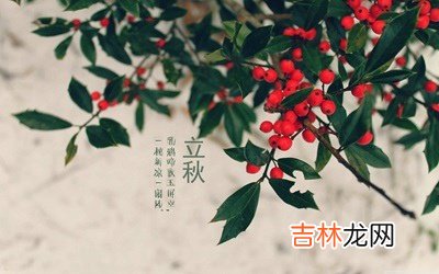 2020年立秋节气丑时出生宝宝喜用神是什么命如何?
