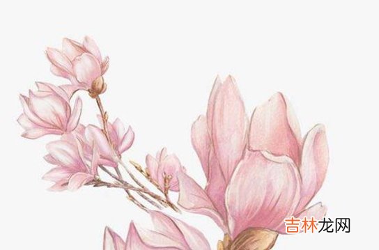 2020年10月10号八月二十四出生的孩子生辰八字和性格命运解析