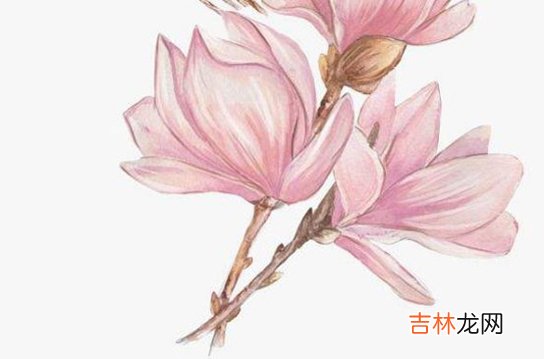 2020年10月10号八月二十四出生的孩子生辰八字和性格命运解析