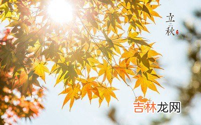 2020年立秋节气申时出生的宝宝命好不好，五行分析