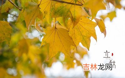 2020鼠年立秋节气戌时出生宝宝五行喜用神解析