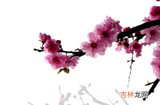 2020年10月17号九月初一出生的孩子生辰八字和性格命运解析