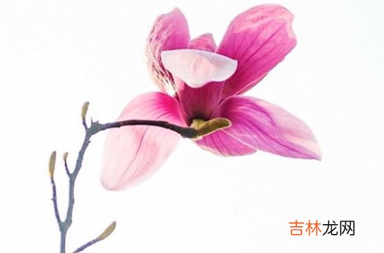 2020年10月17号九月初一出生的孩子生辰八字和性格命运解析