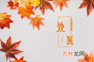 2020庚子鼠年处暑节气亥时出生是不是命很好？