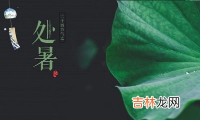 2020鼠年处暑节气丑时出生宝宝五行喜用神解析