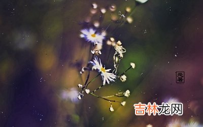 处暑出生的人好吗？2020鼠年处暑节气适合领结婚证吗？