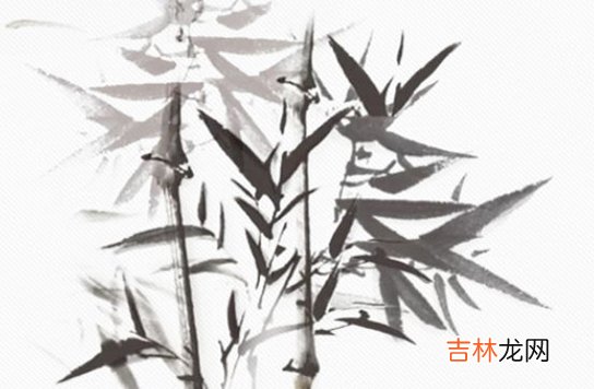 2020年农历六月出生的鼠宝宝五行缺什么