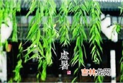 2020年处暑节气巳时出生喜用神解析命运如何？