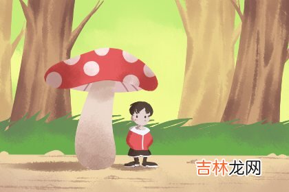 六两六钱女命 财源不错
