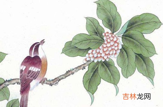 2020年10月27号九月十一出生的孩子生辰八字和性格命运解析