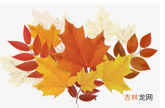 2020年10月28号九月十二出生的孩子生辰八字和性格命运解析