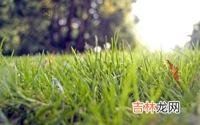 2020鼠年处暑出生的人命运，处暑出生什么星座？