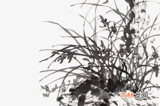 2020年农历六月出生的宝宝五行缺什么