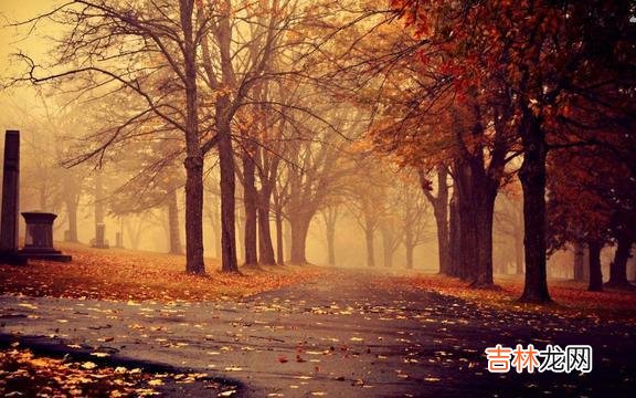 1、如果没人护你周全 生活就像心电图，要想一帆风顺，除非是死了