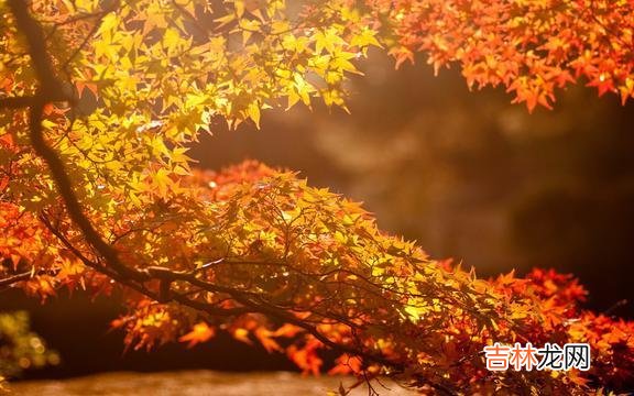 1、如果没人护你周全 生活就像心电图，要想一帆风顺，除非是死了