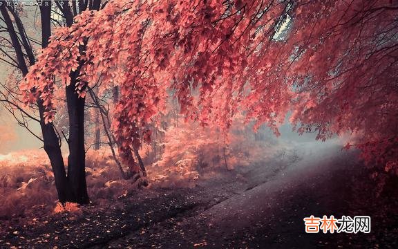 1、如果没人护你周全 生活就像心电图，要想一帆风顺，除非是死了