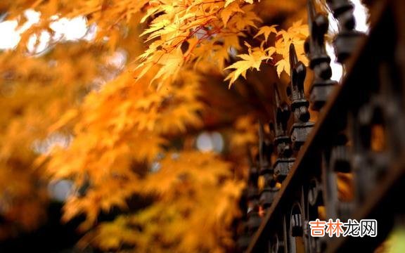 1、如果没人护你周全 生活就像心电图，要想一帆风顺，除非是死了