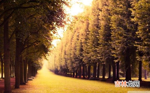 1、如果没人护你周全 生活就像心电图，要想一帆风顺，除非是死了