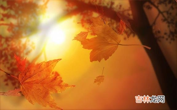 1、如果没人护你周全 生活就像心电图，要想一帆风顺，除非是死了