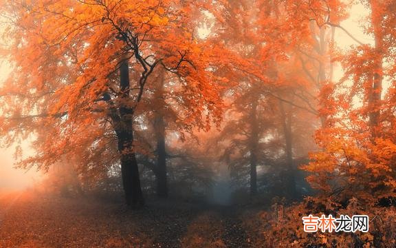 1、如果没人护你周全 生活就像心电图，要想一帆风顺，除非是死了
