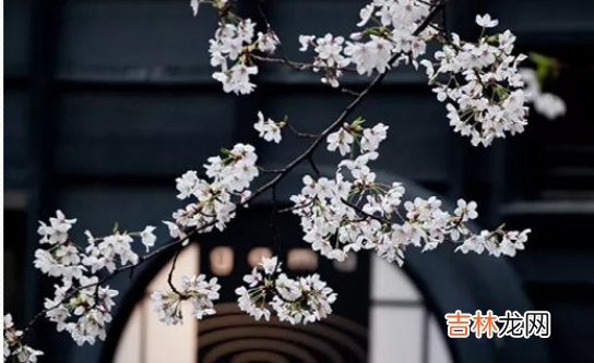 2020年12月18号十一月初四出生的孩子生辰八字和性格命运解析