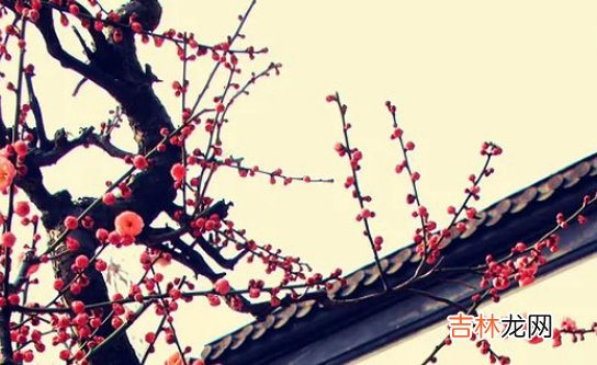2020年12月19号十一月初五出生的孩子生辰八字和命运解析