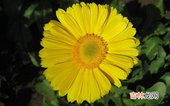 1.有些事情我们必须放弃 简单生活才能幸福生活，人要知足常乐，宽容大度